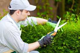 Gartenarbeit mit Rasenmäher